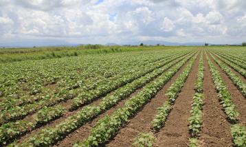 Global Supply Demand Report - December 2022