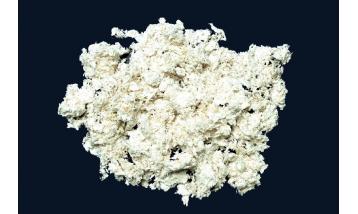 Cotton Linter
