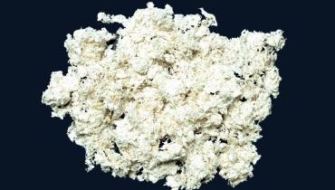 Cotton Linter